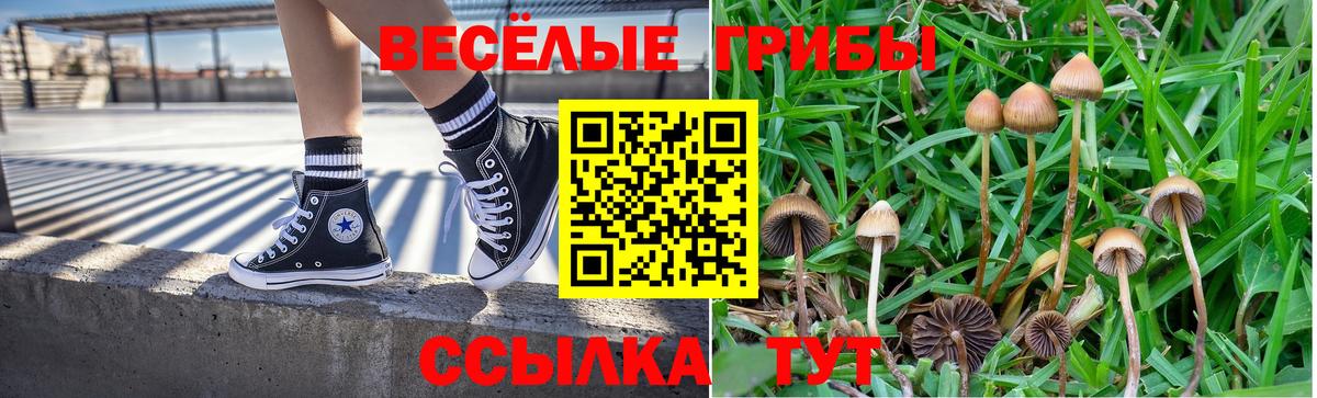 Псилоцибиновые грибы Magic Shrooms Междуреченск